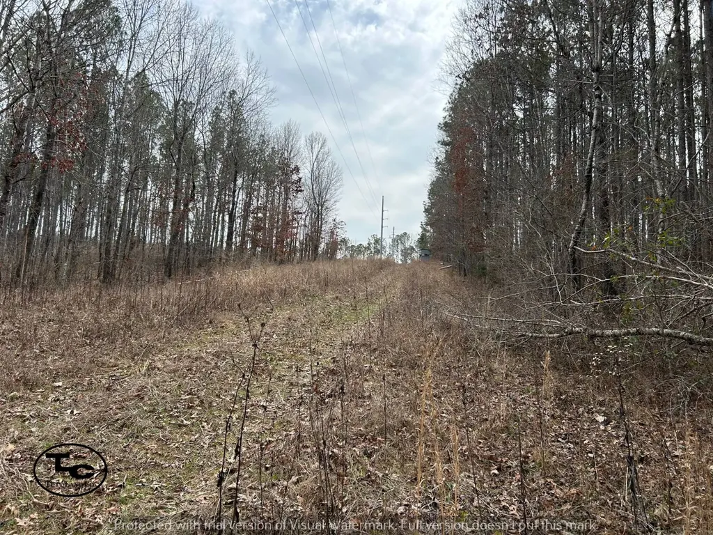0 County Road 69 Guin AL 35563