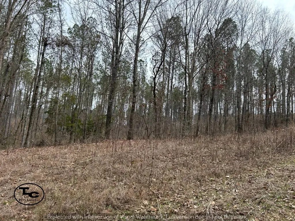 0 County Road 69 Guin AL 35563