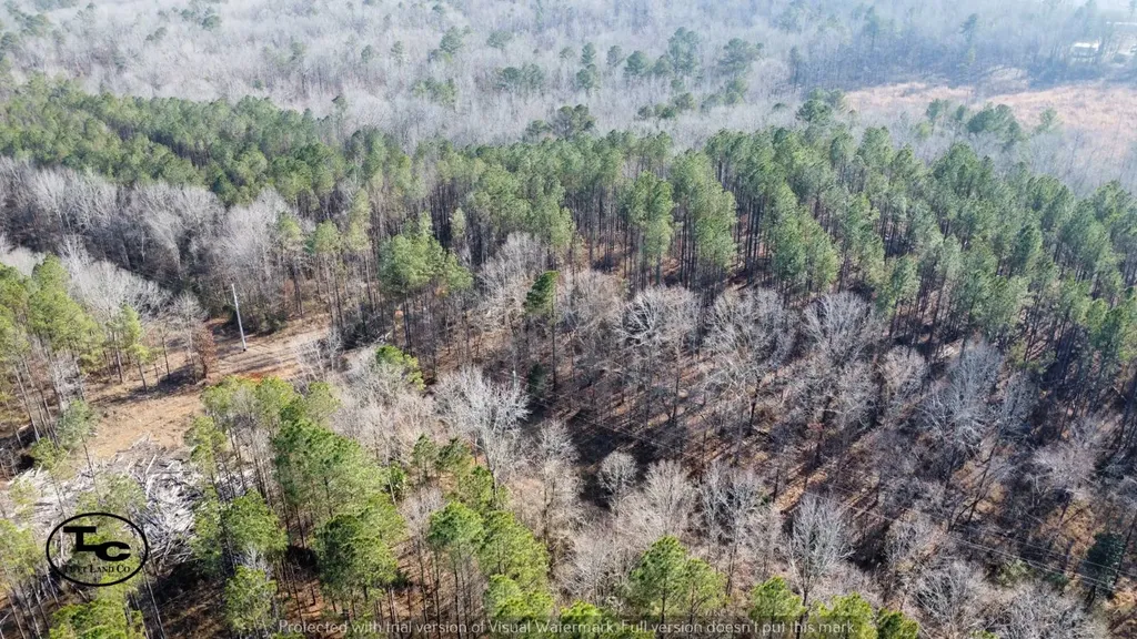 0 County Road 69 Guin AL 35563