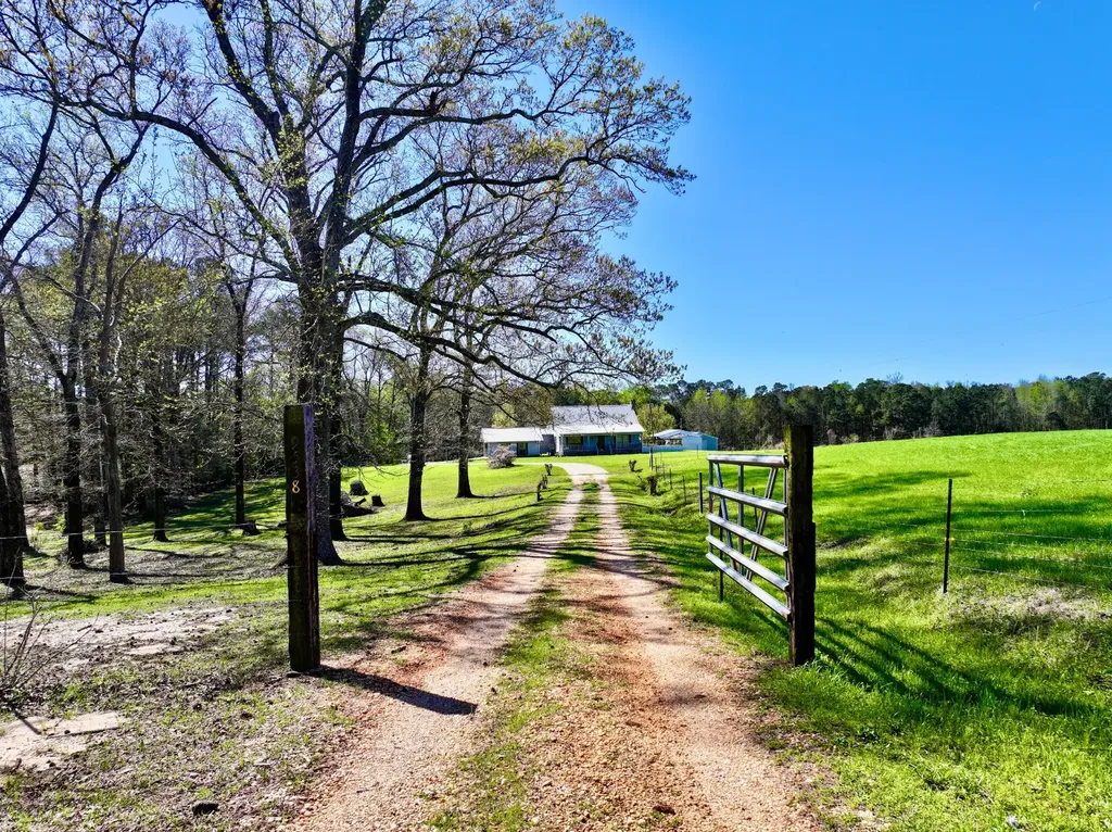 9538 Nathan Jordan Road Millry AL 36558