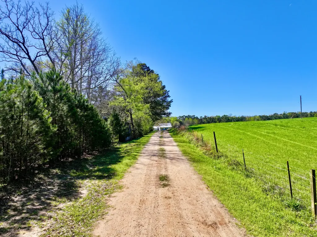 9538 Nathan Jordan Road Millry AL 36558