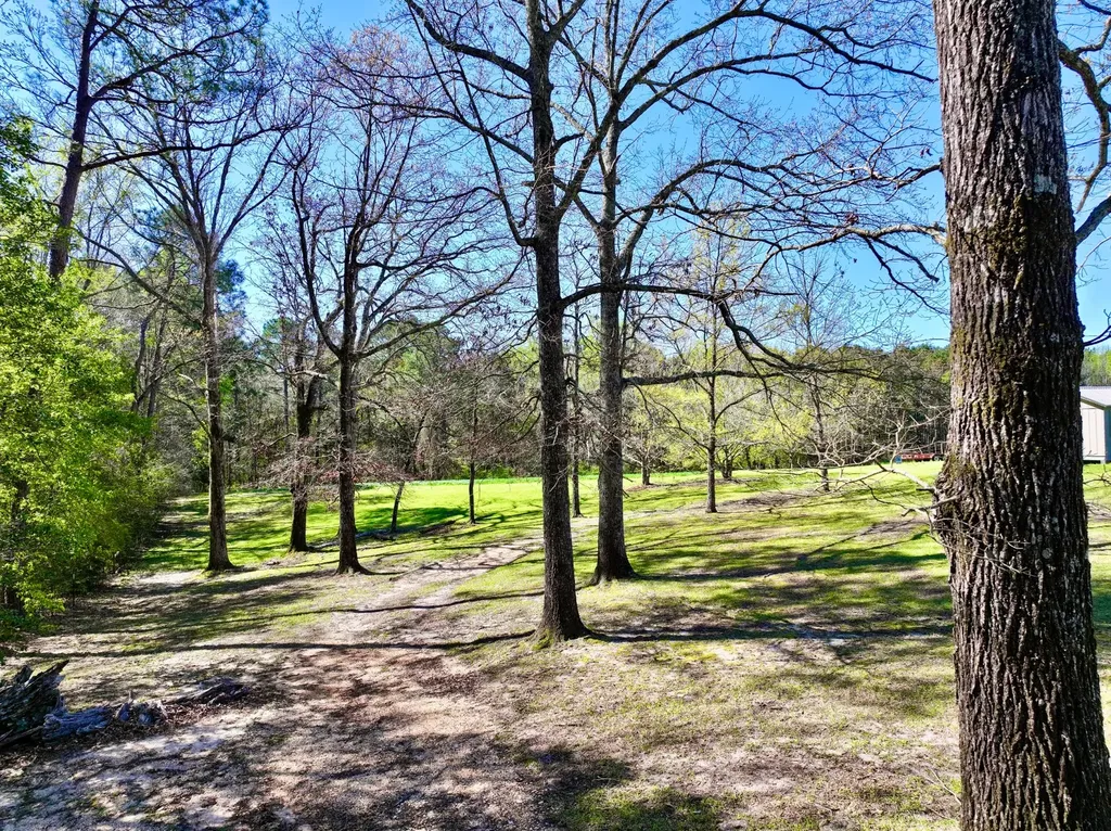 9538 Nathan Jordan Road Millry AL 36558