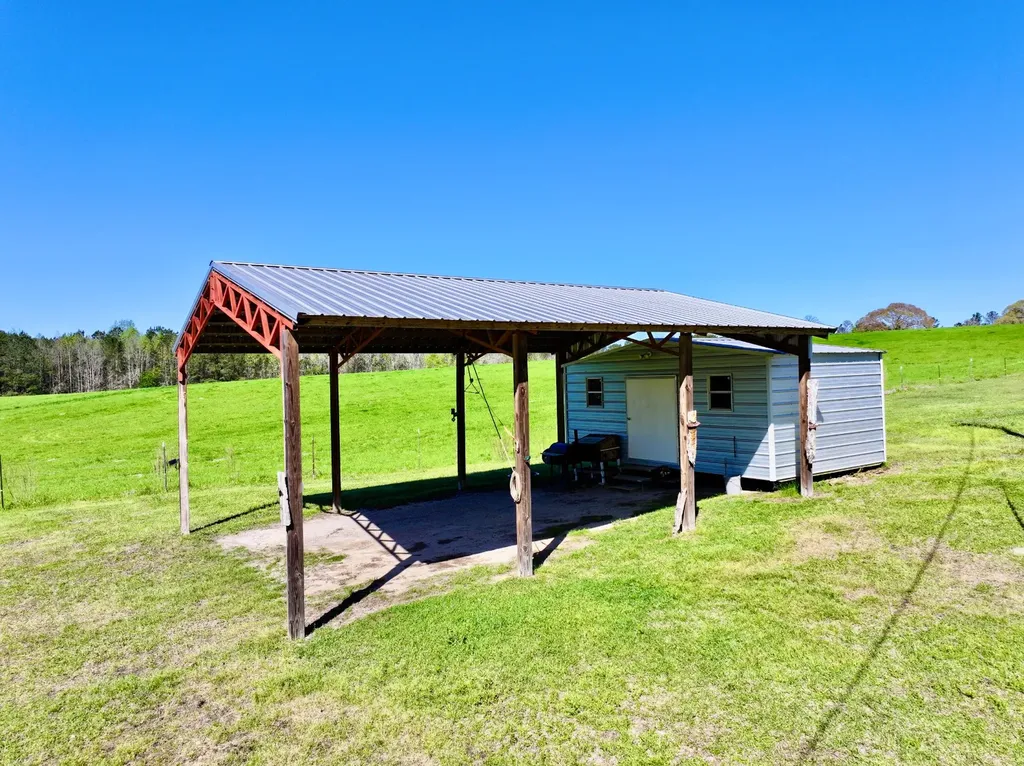9538 Nathan Jordan Road Millry AL 36558