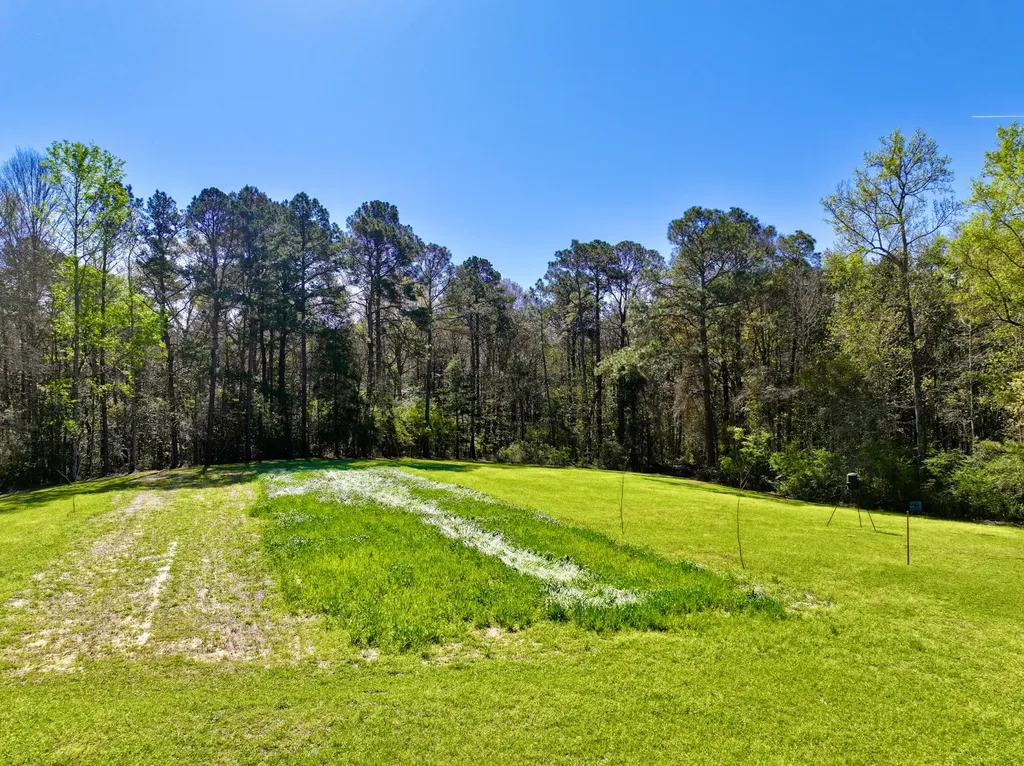 9538 Nathan Jordan Road Millry AL 36558