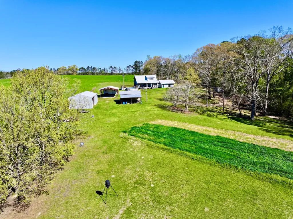 9538 Nathan Jordan Road Millry AL 36558