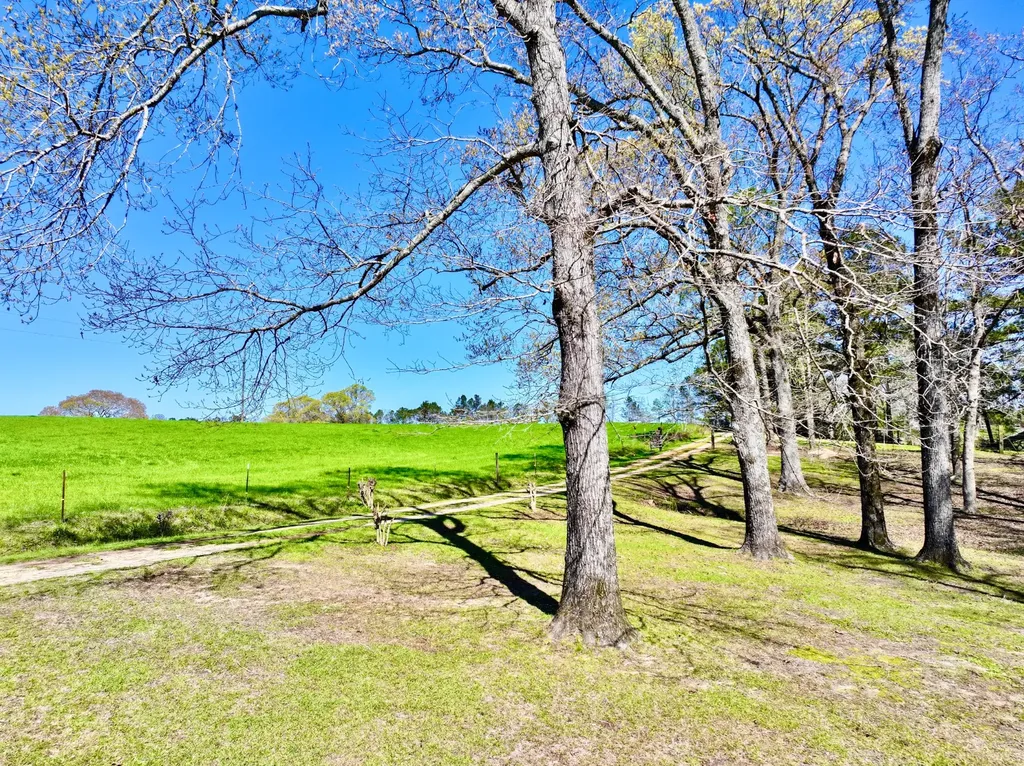 9538 Nathan Jordan Road Millry AL 36558