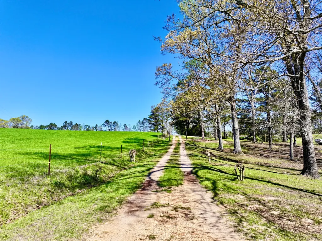 9538 Nathan Jordan Road Millry AL 36558