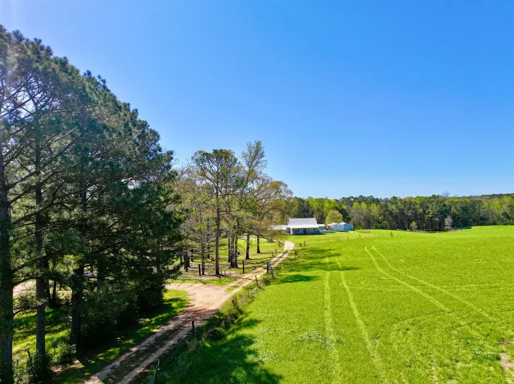 9538 Nathan Jordan Road Millry AL 36558