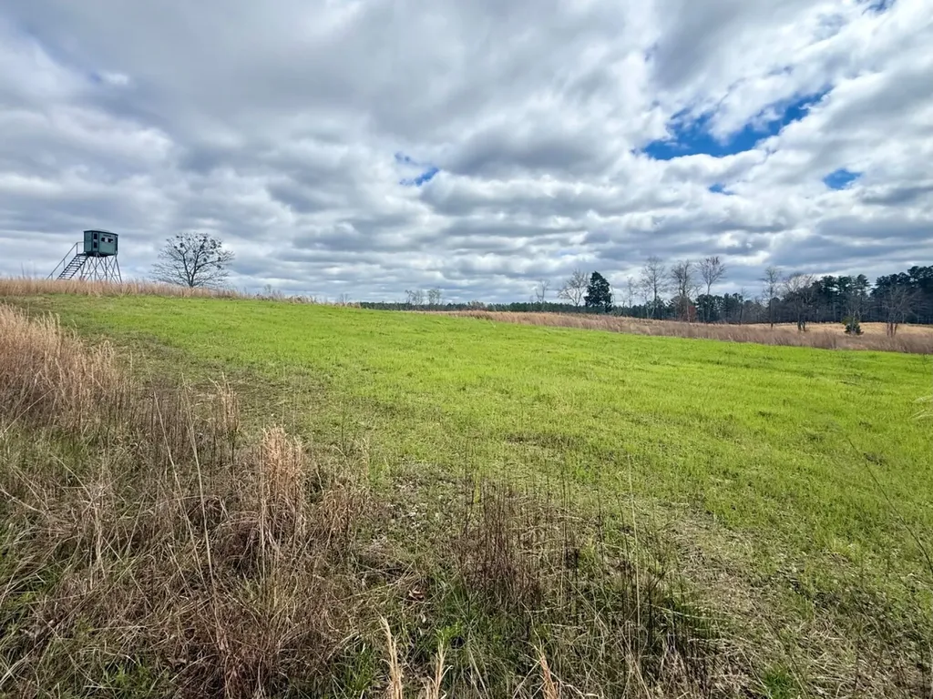 0 County Road 25 Double Springs AL 35553