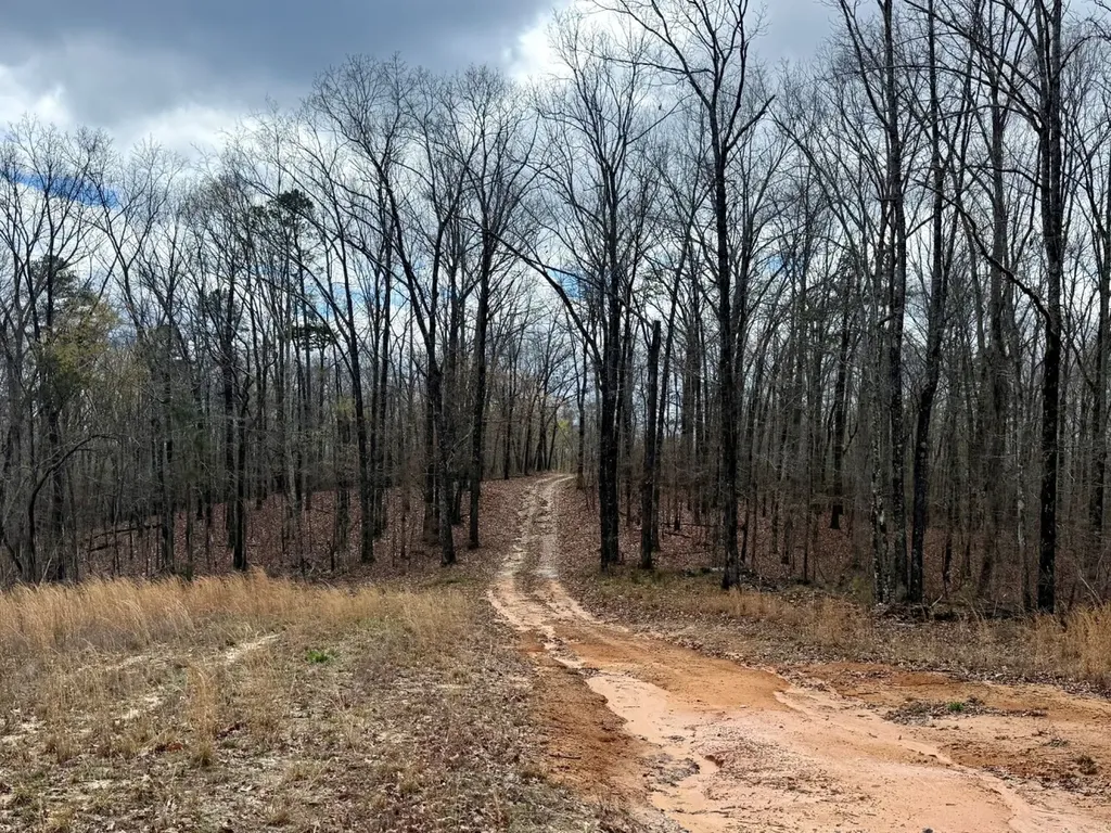 0 County Road 25 Double Springs AL 35553