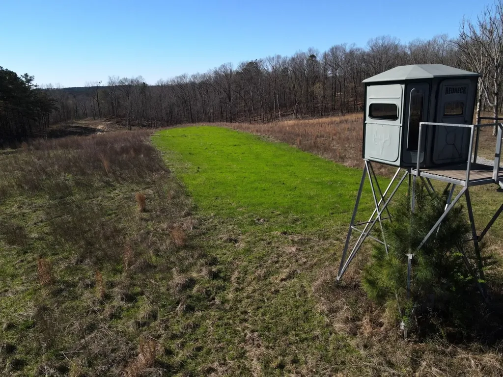 0 County Road 25 Double Springs AL 35553