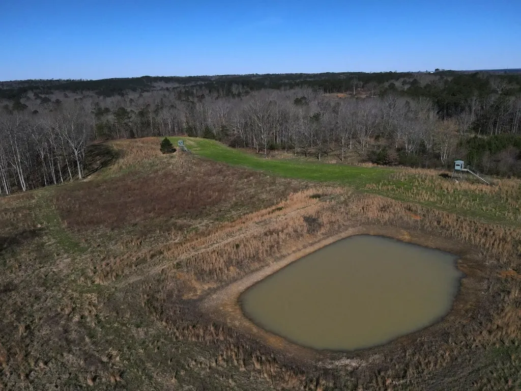 0 County Road 25 Double Springs AL 35553
