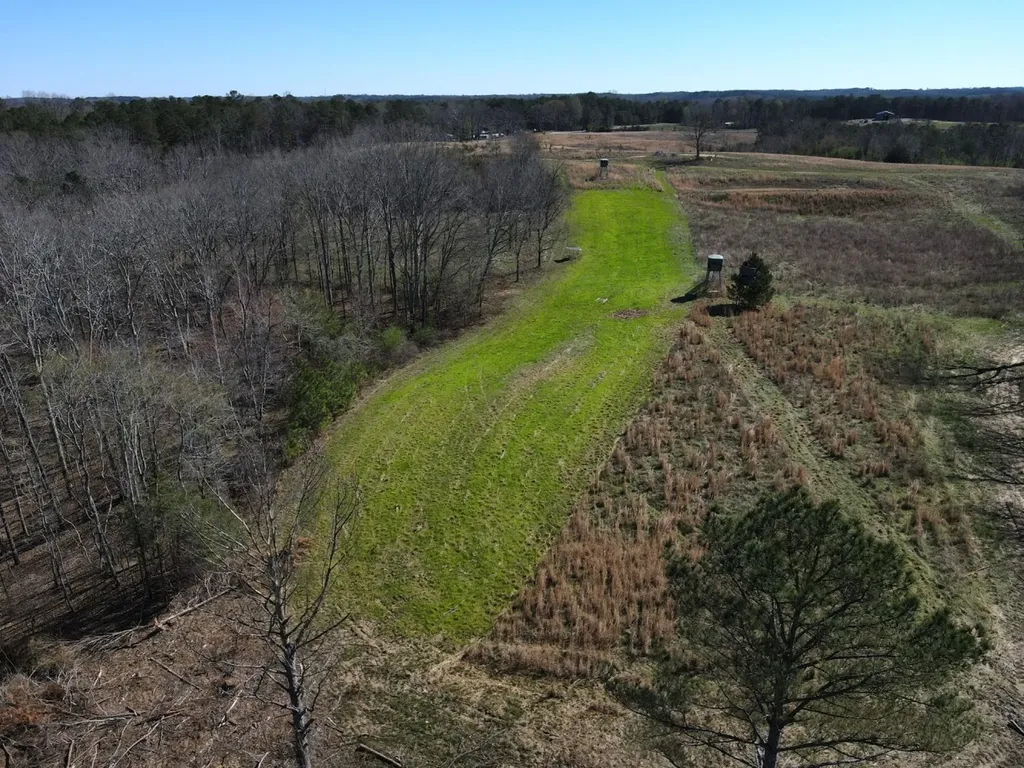 0 County Road 25 Double Springs AL 35553