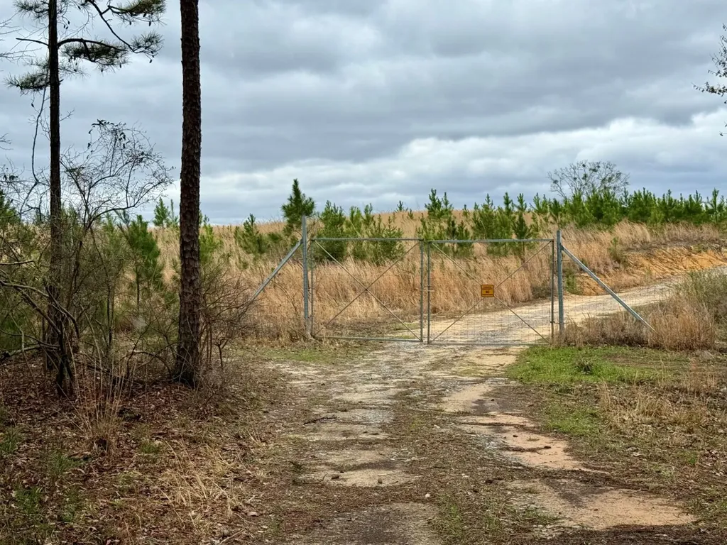 0 County Road 25 Double Springs AL 35553