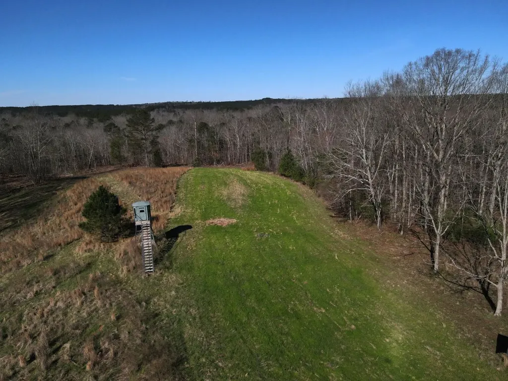 0 County Road 25 Double Springs AL 35553