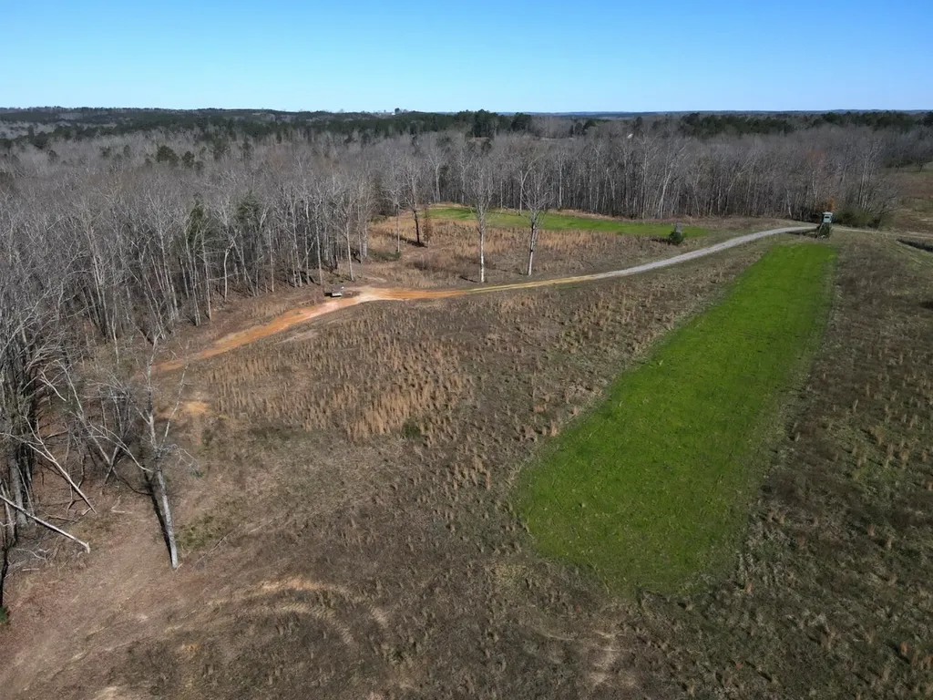 0 County Road 25 Double Springs AL 35553