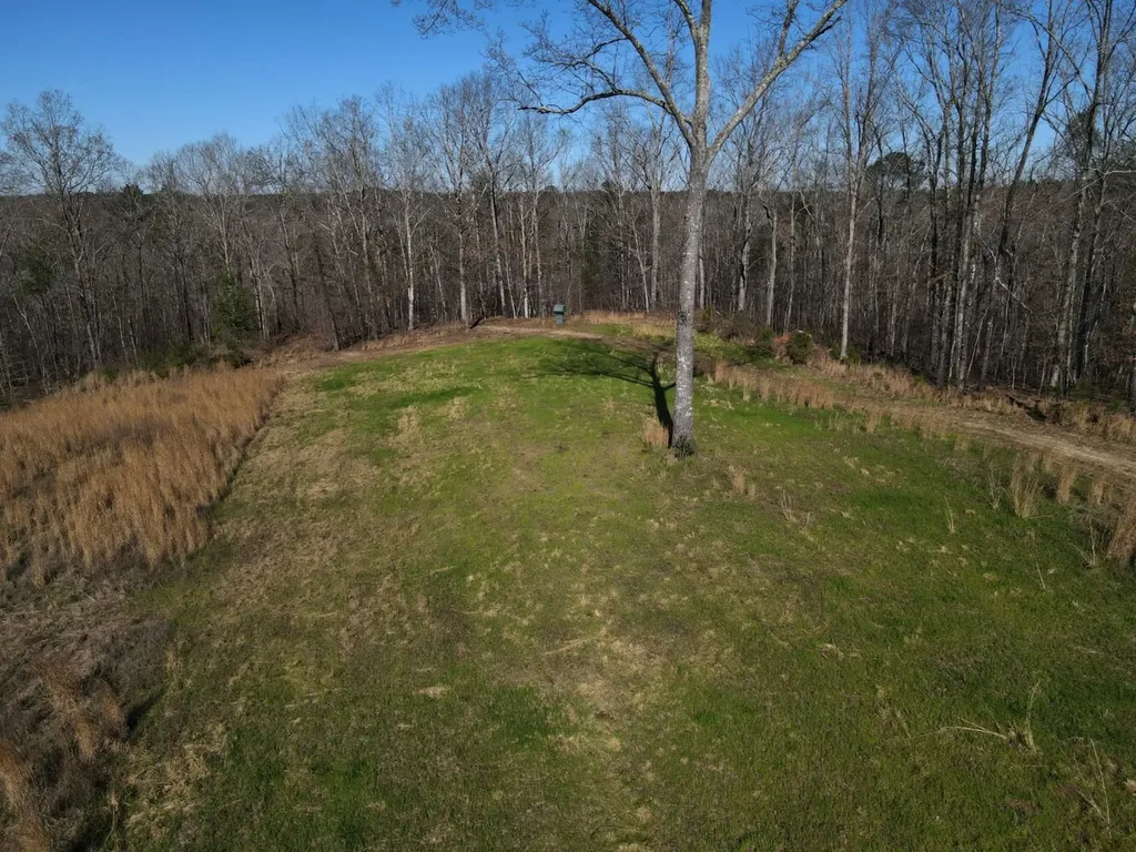 0 County Road 25 Double Springs AL 35553