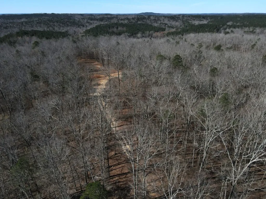 0 County Road 25 Double Springs AL 35553