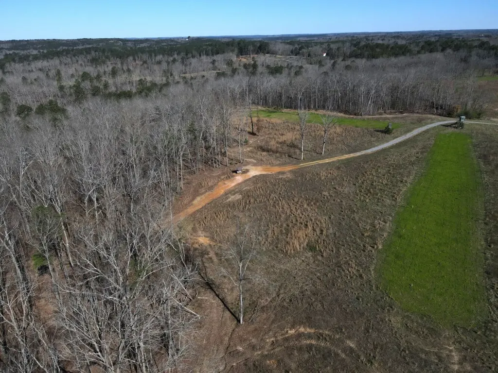 0 County Road 25 Double Springs AL 35553