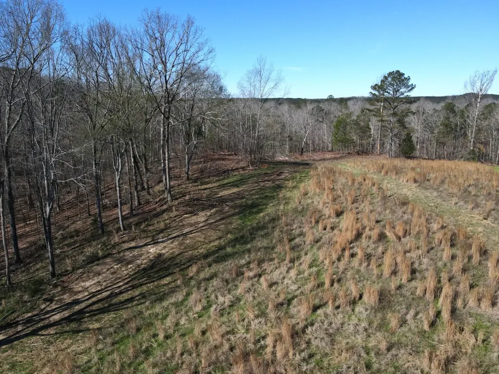 0 County Road 25 Double Springs AL 35553