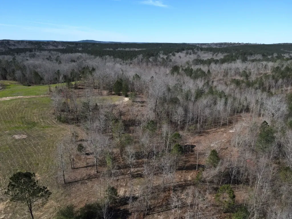 0 County Road 25 Double Springs AL 35553