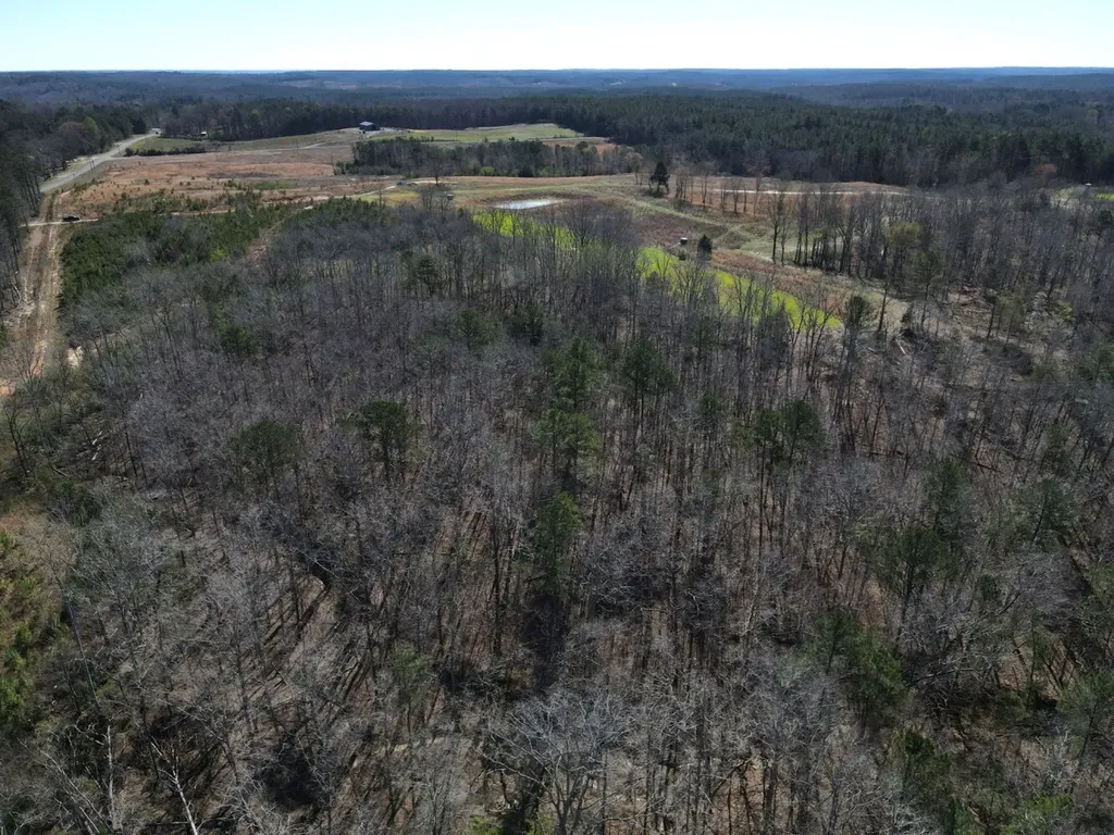 0 County Road 25 Double Springs AL 35553