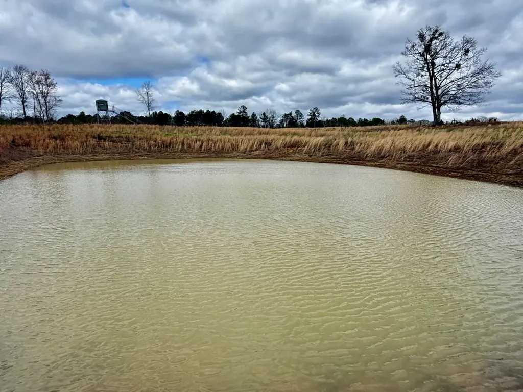 0 County Road 25 Double Springs AL 35553