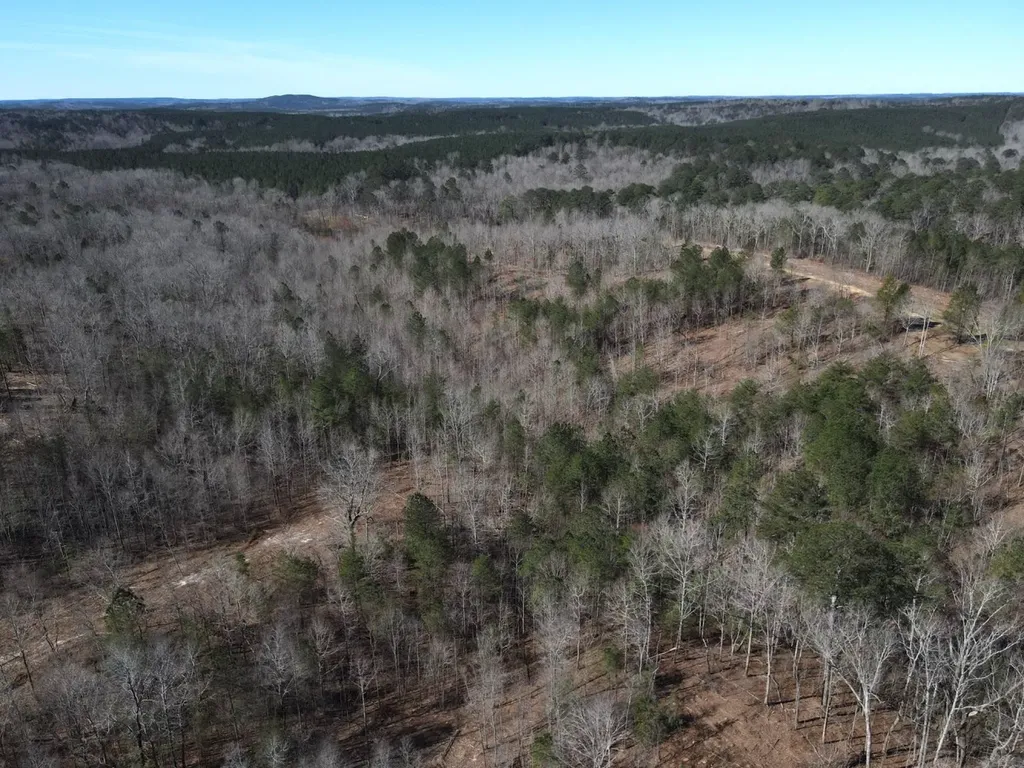 0 County Road 25 Double Springs AL 35553