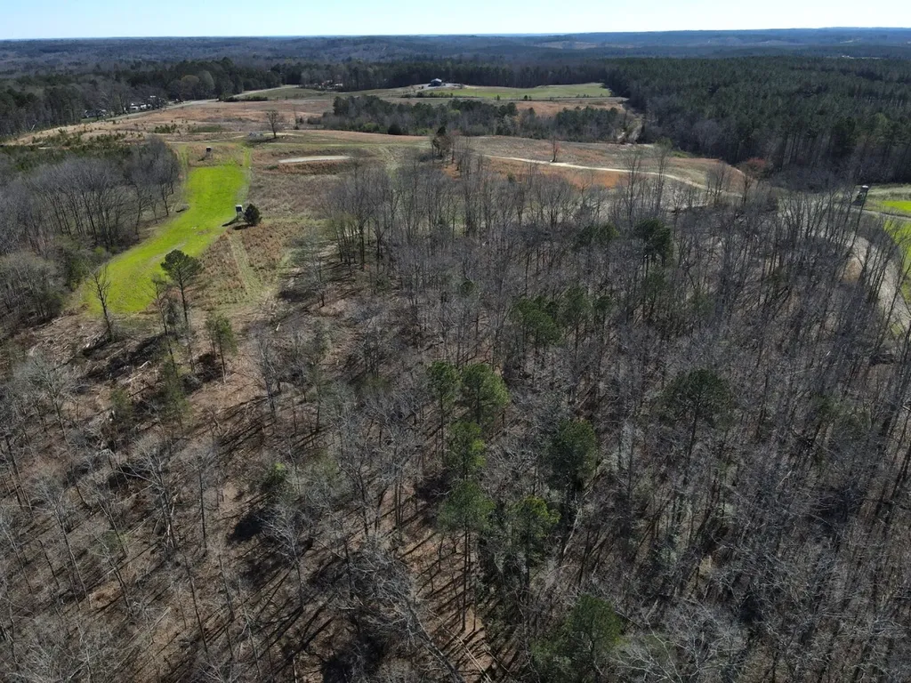 0 County Road 25 Double Springs AL 35553