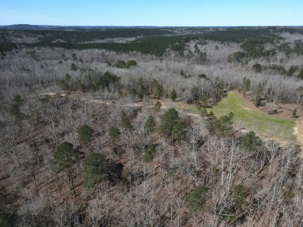 0 County Road 25 Double Springs AL 35553