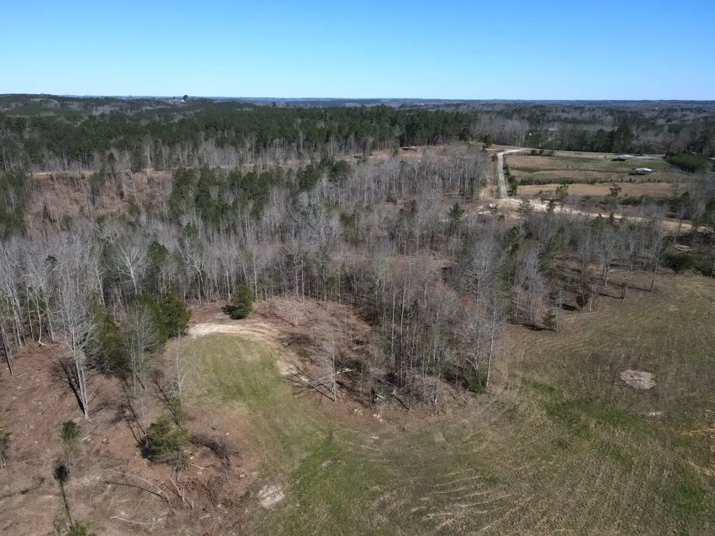 0 County Road 25 Double Springs AL 35553