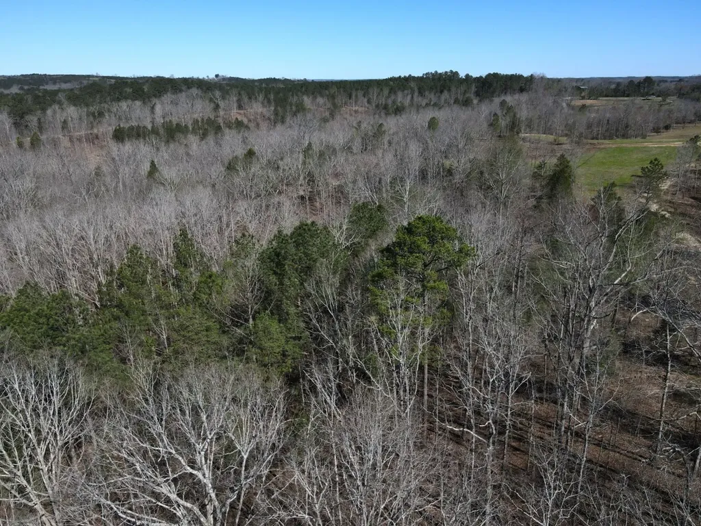 0 County Road 25 Double Springs AL 35553