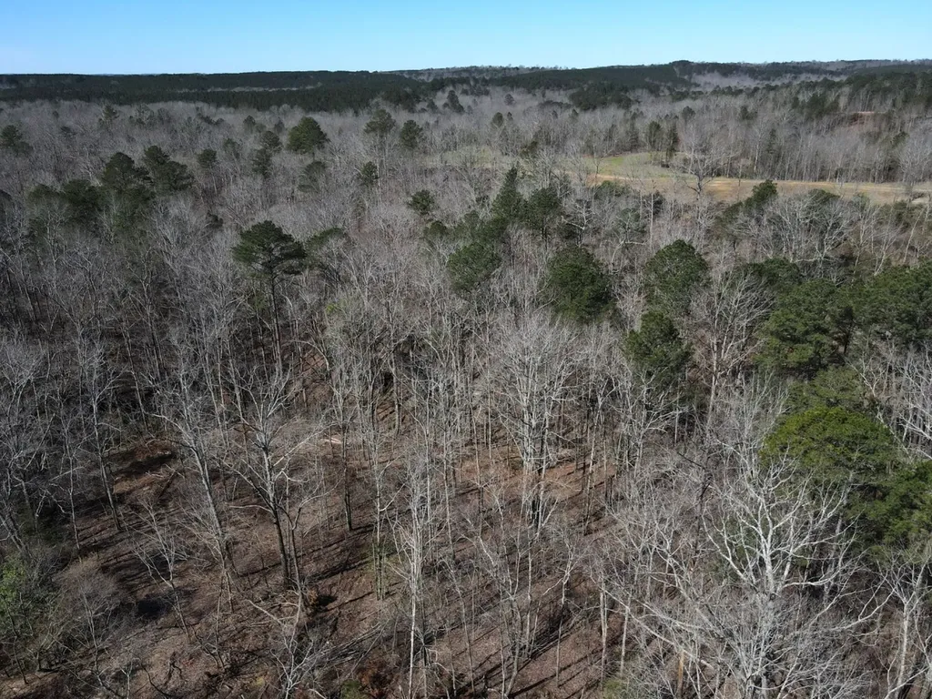 0 County Road 25 Double Springs AL 35553