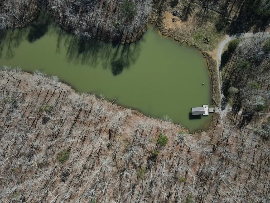 0 County Road 25 Double Springs AL 35553
