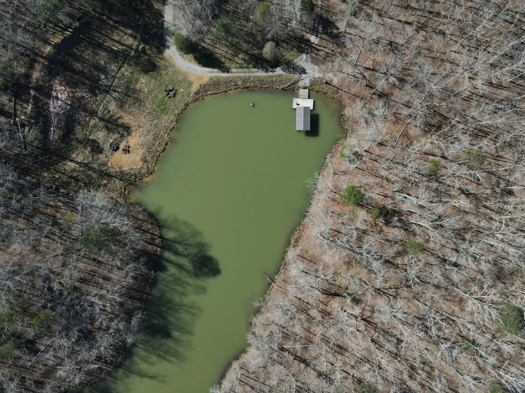 0 County Road 25 Double Springs AL 35553