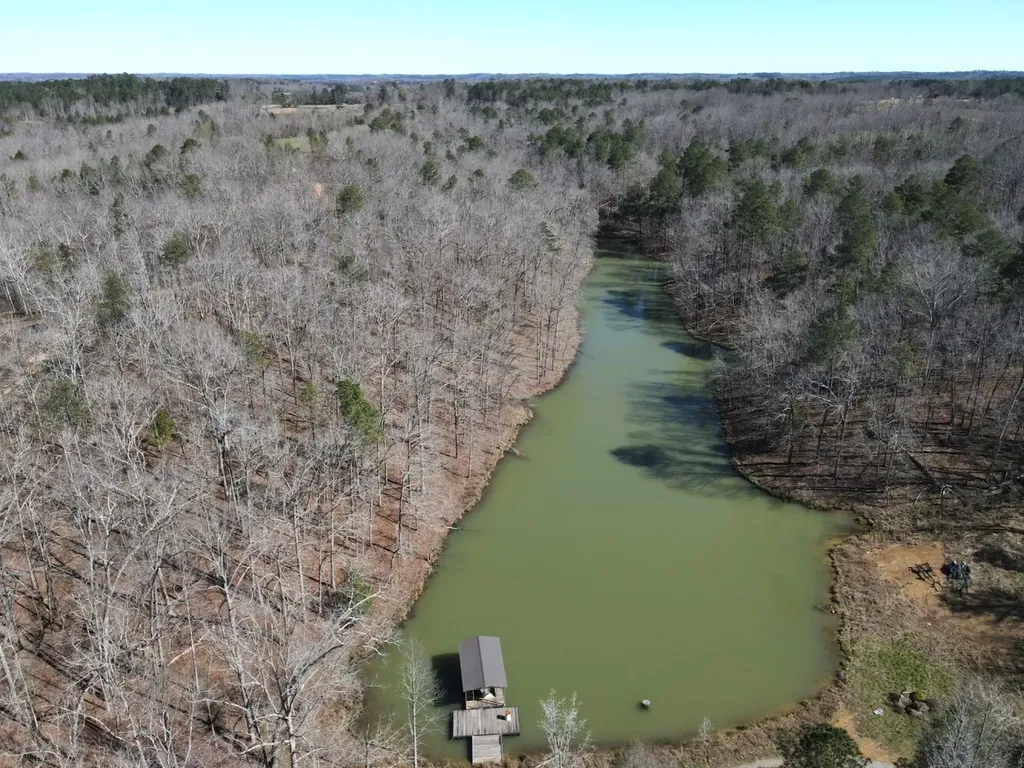 0 County Road 25 Double Springs AL 35553