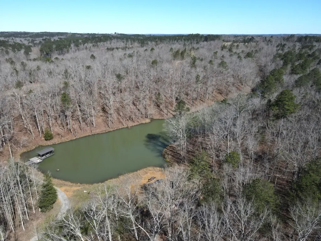 0 County Road 25 Double Springs AL 35553