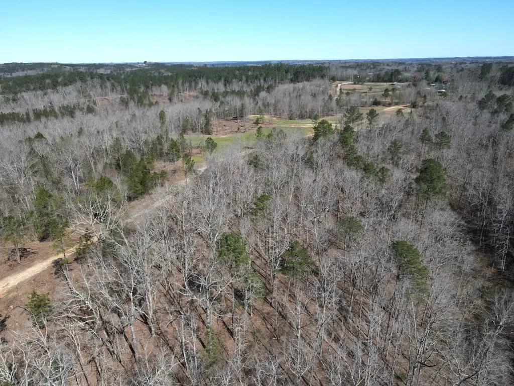 0 County Road 25 Double Springs AL 35553