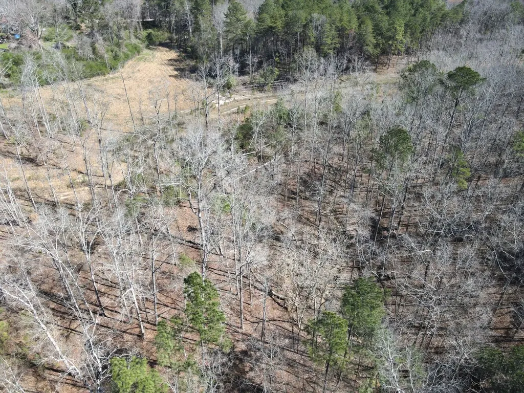 0 County Road 25 Double Springs AL 35553