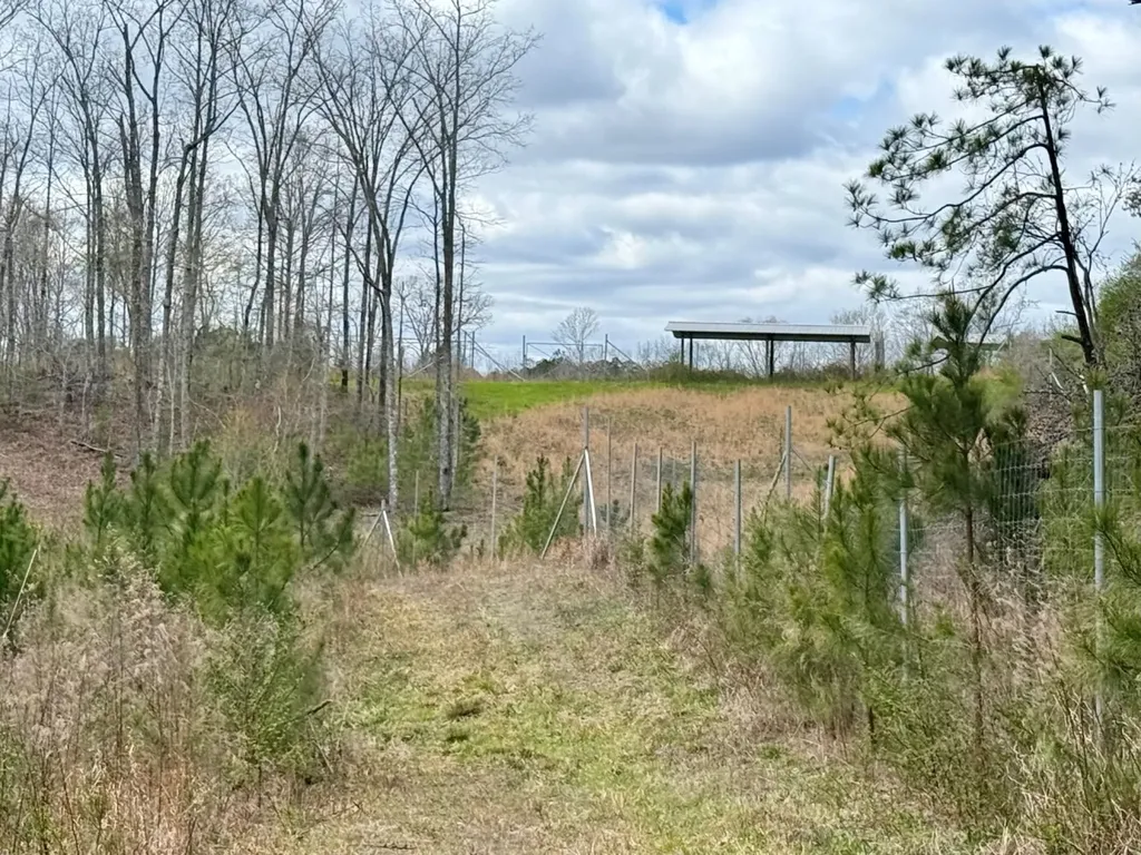 0 County Road 25 Double Springs AL 35553