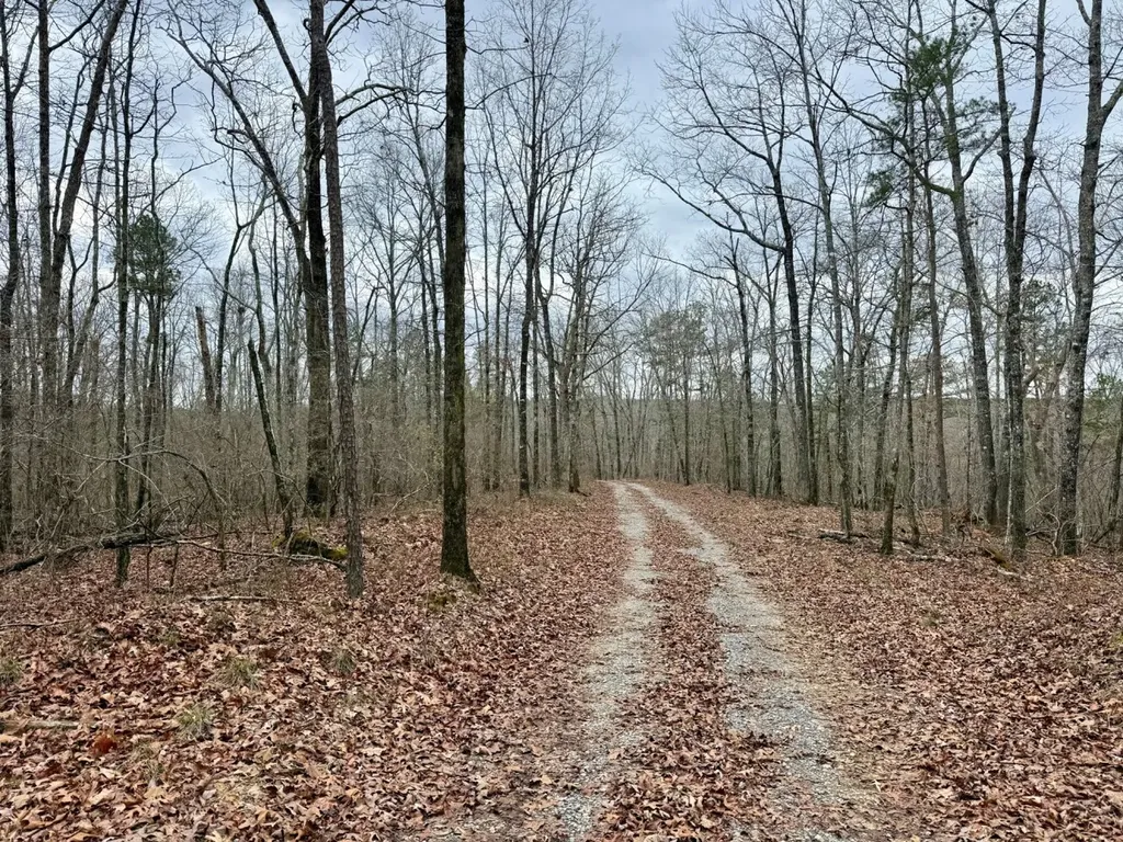 0 County Road 25 Double Springs AL 35553