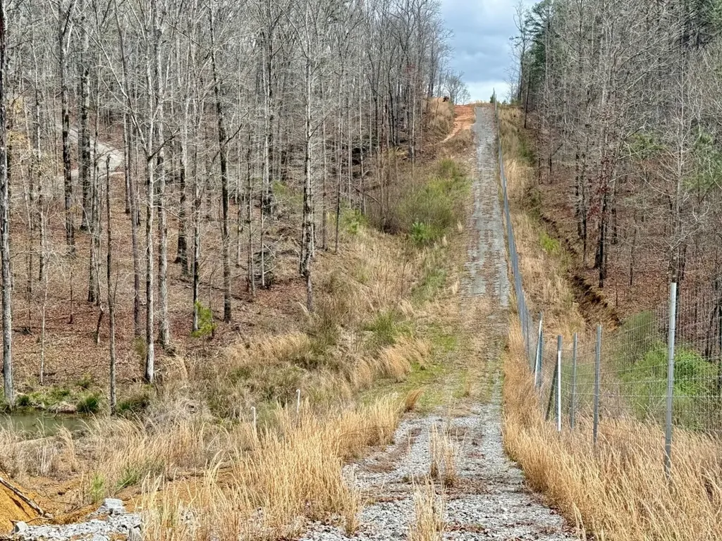 0 County Road 25 Double Springs AL 35553