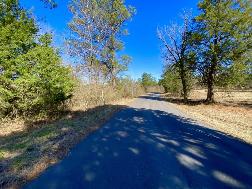 0 Adams Road - 1 & 2 Bankston AL 35542