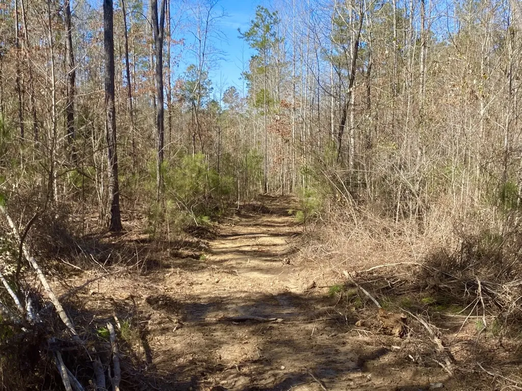 0 Adams Road - 1 & 2 Bankston AL 35542