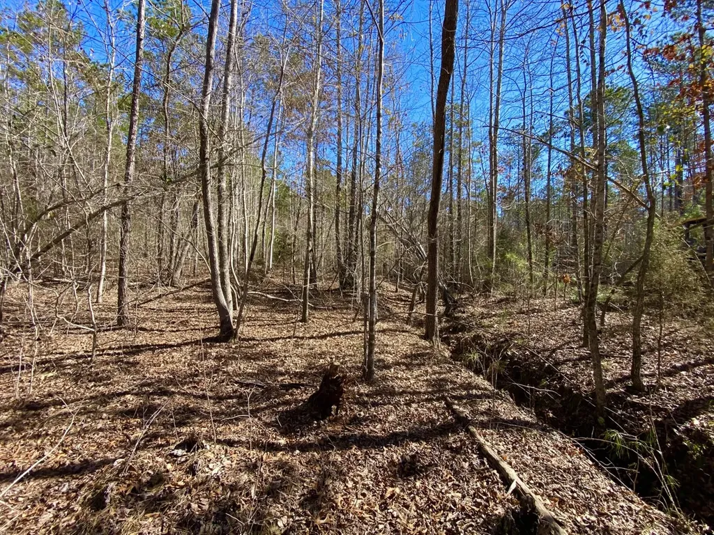 0 Adams Road - 1 & 2 Bankston AL 35542