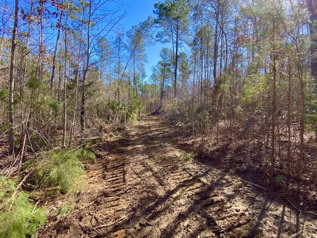0 Adams Road - 1 & 2 Bankston AL 35542