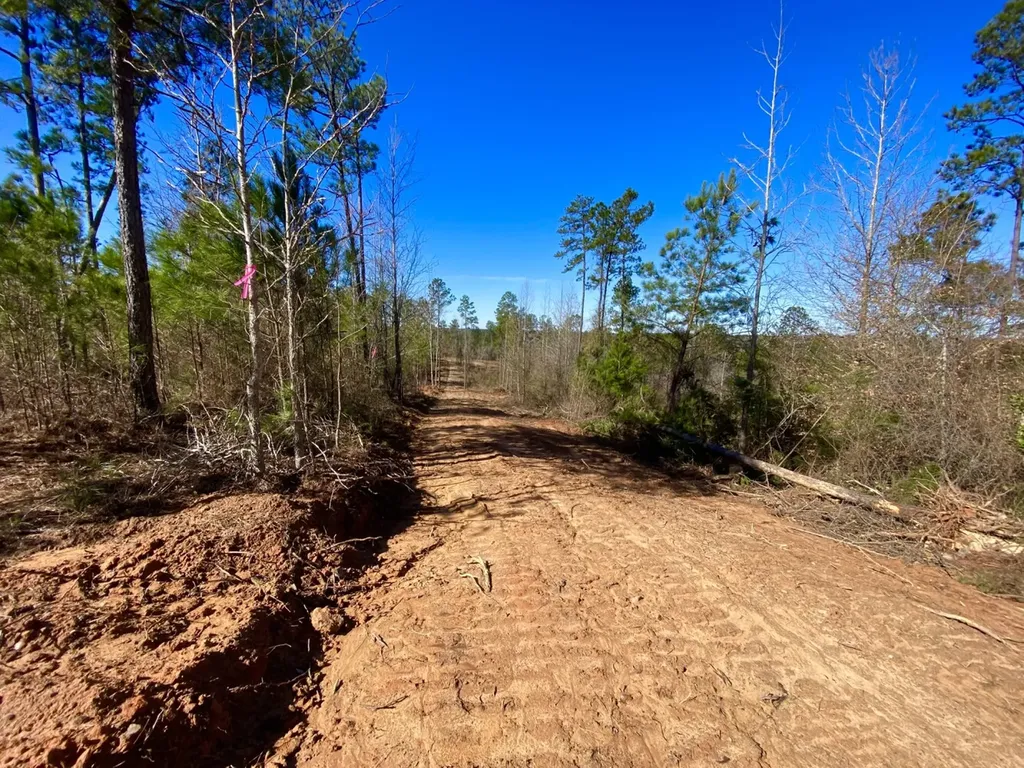 0 Adams Road - 1 & 2 Bankston AL 35542