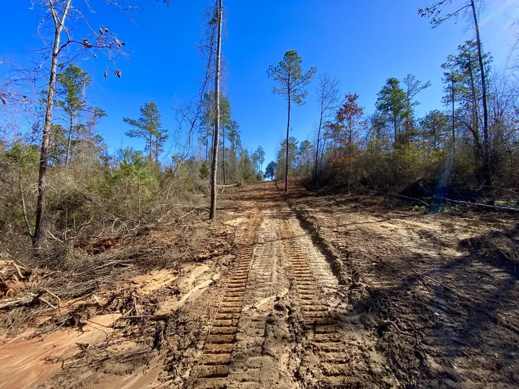 0 Adams Road - 1 & 2 Bankston AL 35542