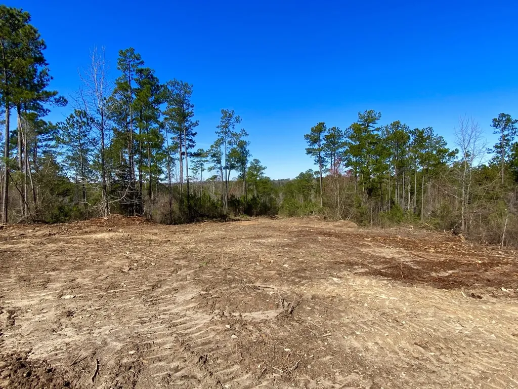0 Adams Road - 1 & 2 Bankston AL 35542