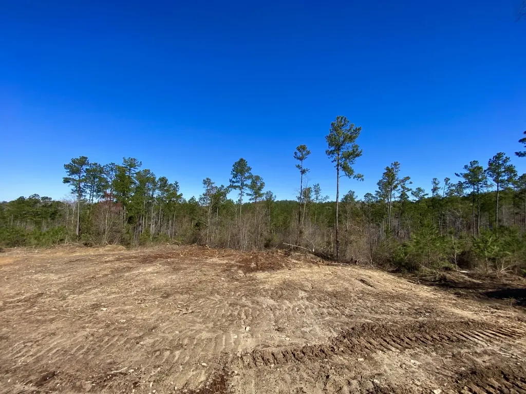 0 Adams Road - 1 & 2 Bankston AL 35542